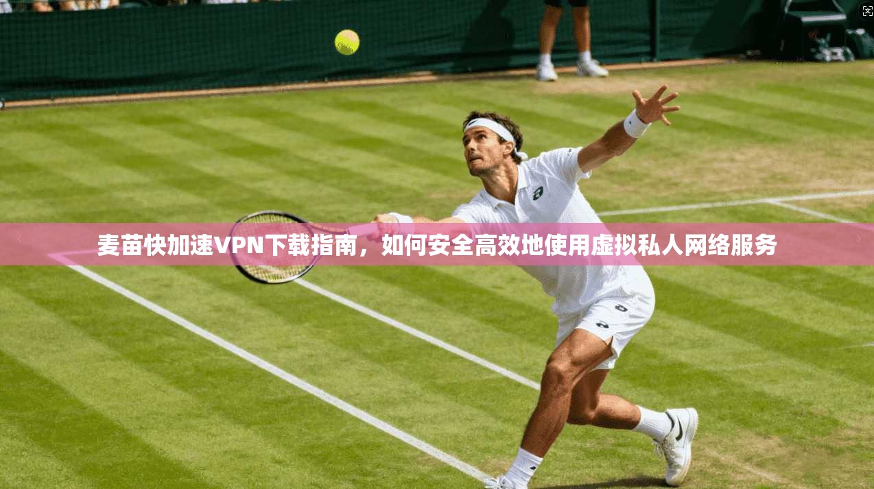 麦苗快加速VPN下载指南，如何安全高效地使用虚拟私人网络服务