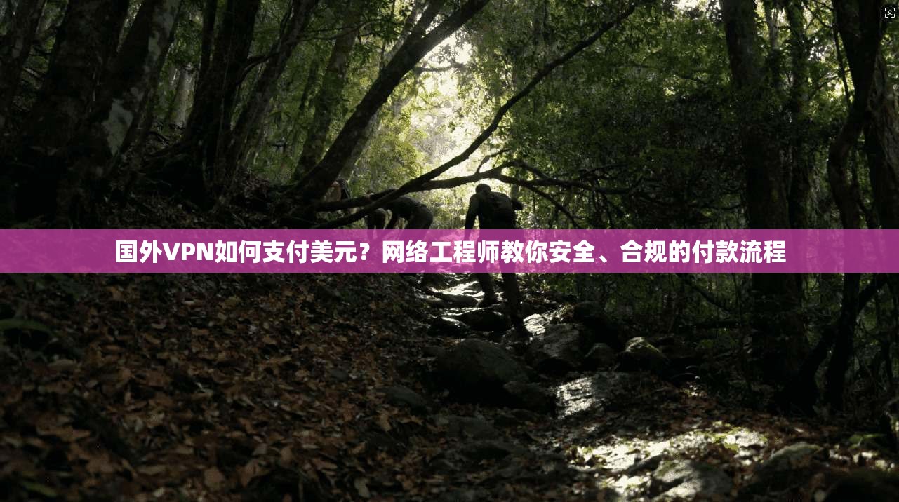 国外VPN如何支付美元？网络工程师教你安全、合规的付款流程