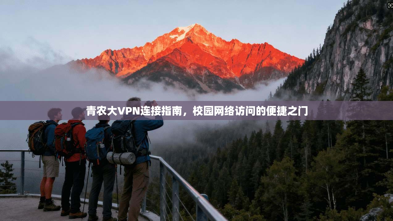 青农大VPN连接指南，校园网络访问的便捷之门