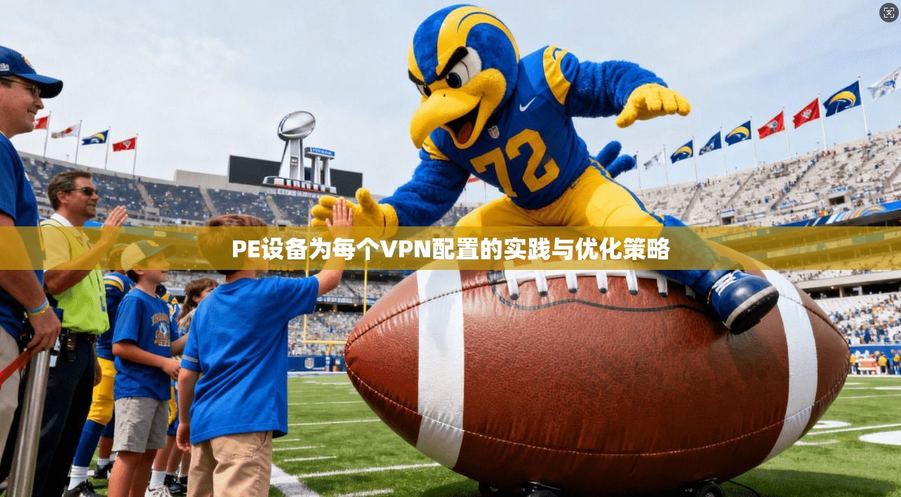 PE设备为每个VPN配置的实践与优化策略