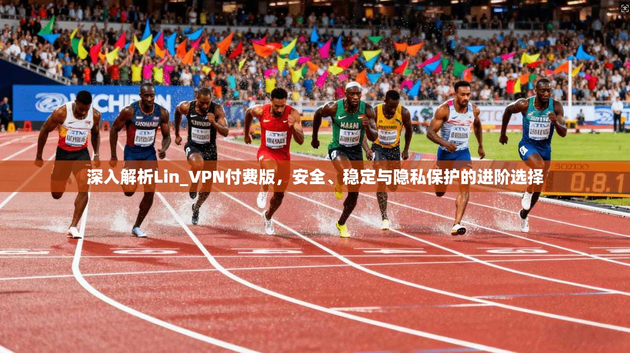 深入解析Lin_VPN付费版，安全、稳定与隐私保护的进阶选择