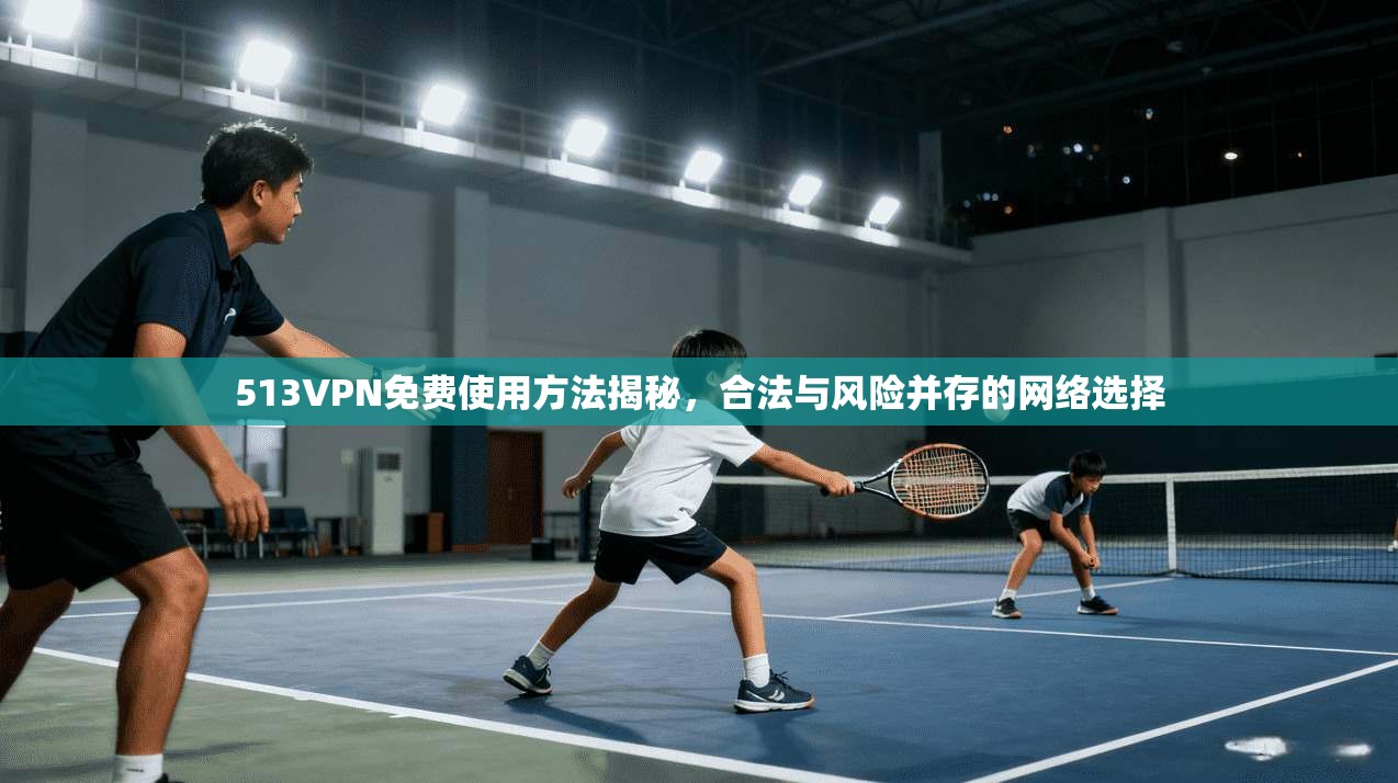 513VPN免费使用方法揭秘，合法与风险并存的网络选择