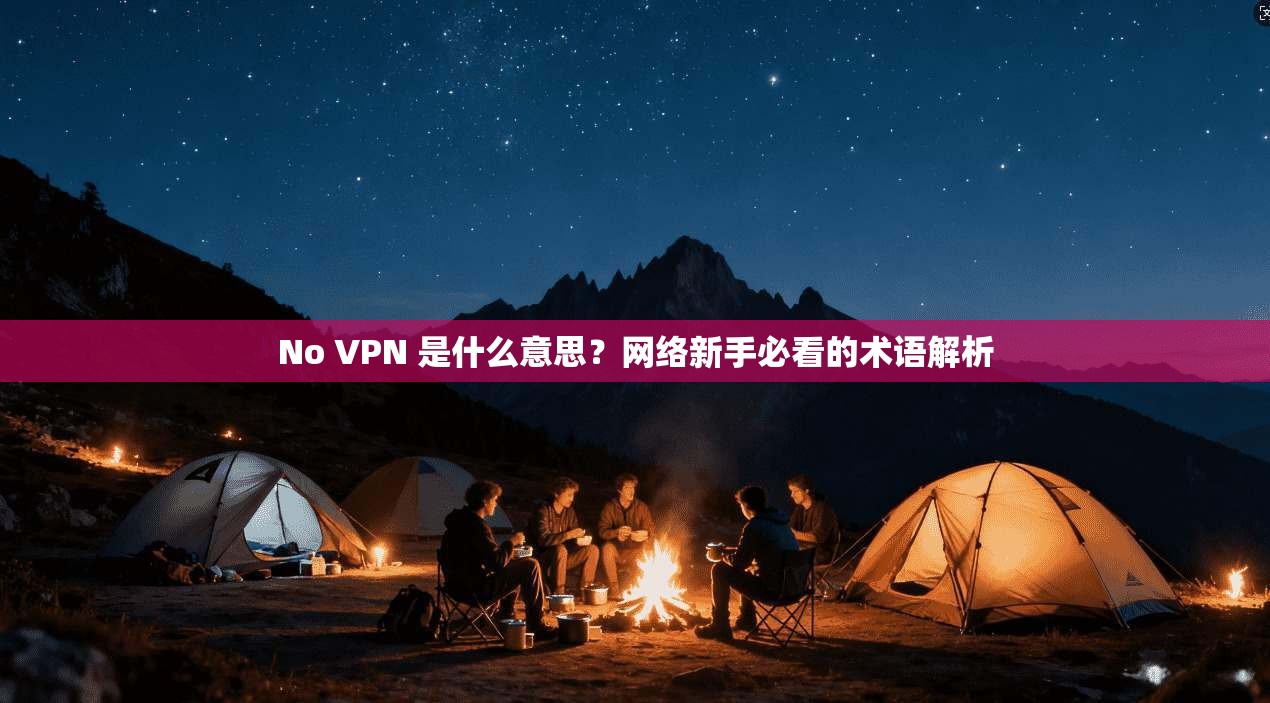 No VPN 是什么意思？网络新手必看的术语解析