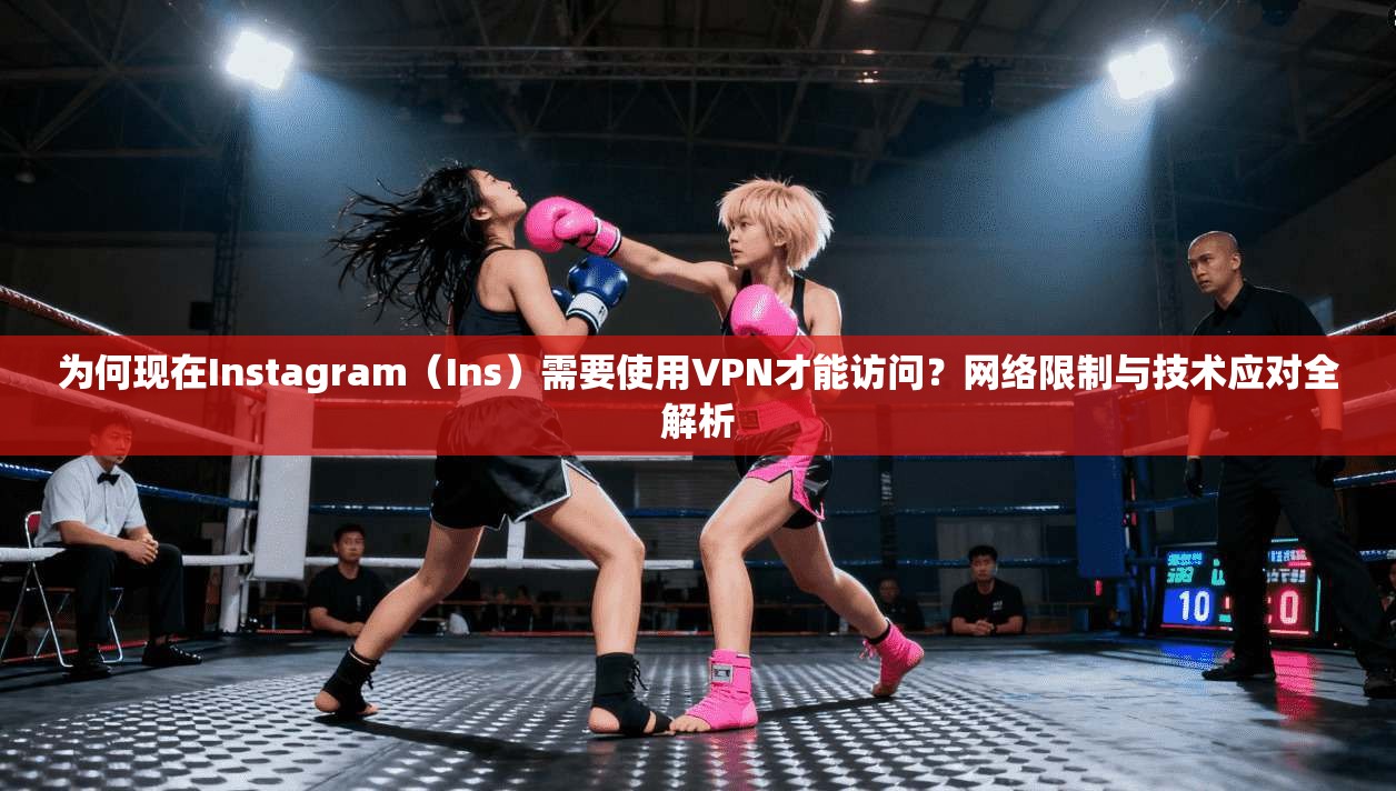 为何现在Instagram(Ins)需要使用VPN才能访问?网络限制与技术应对全解析 为何现在Instagram(Ins)需要使用VPN才能访问?网络限制与技术应对全解析