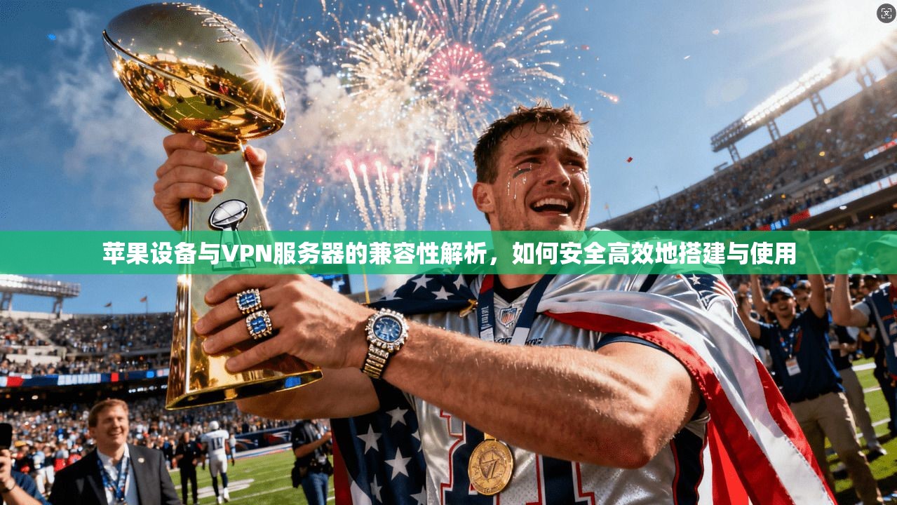苹果设备与VPN服务器的兼容性解析，如何安全高效地搭建与使用