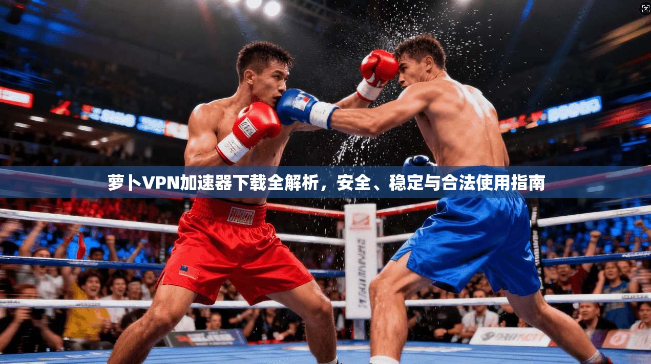 萝卜VPN加速器下载全解析，安全、稳定与合法使用指南