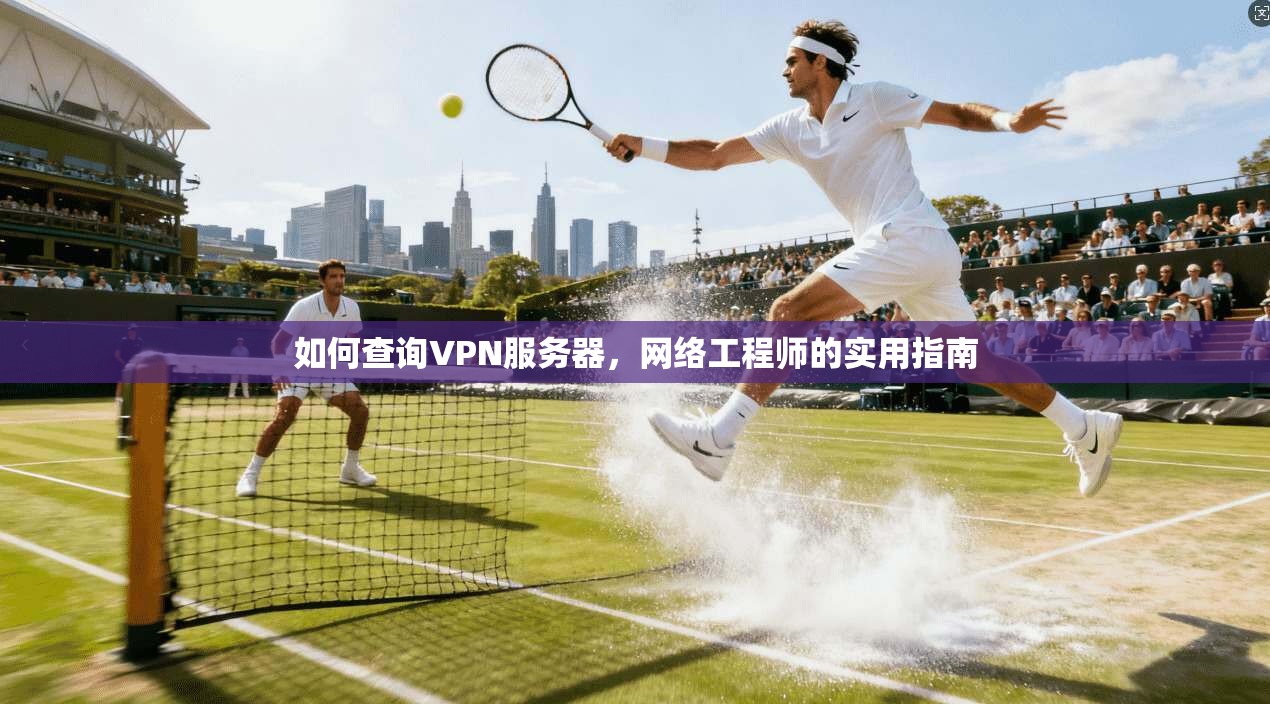如何查询VPN服务器，网络工程师的实用指南