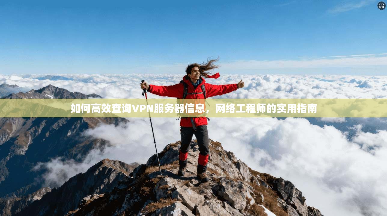 如何高效查询VPN服务器信息，网络工程师的实用指南