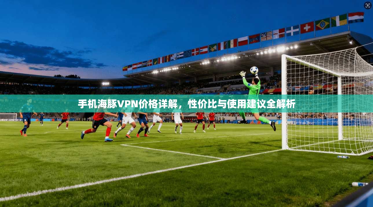 手机海豚VPN价格详解，性价比与使用建议全解析