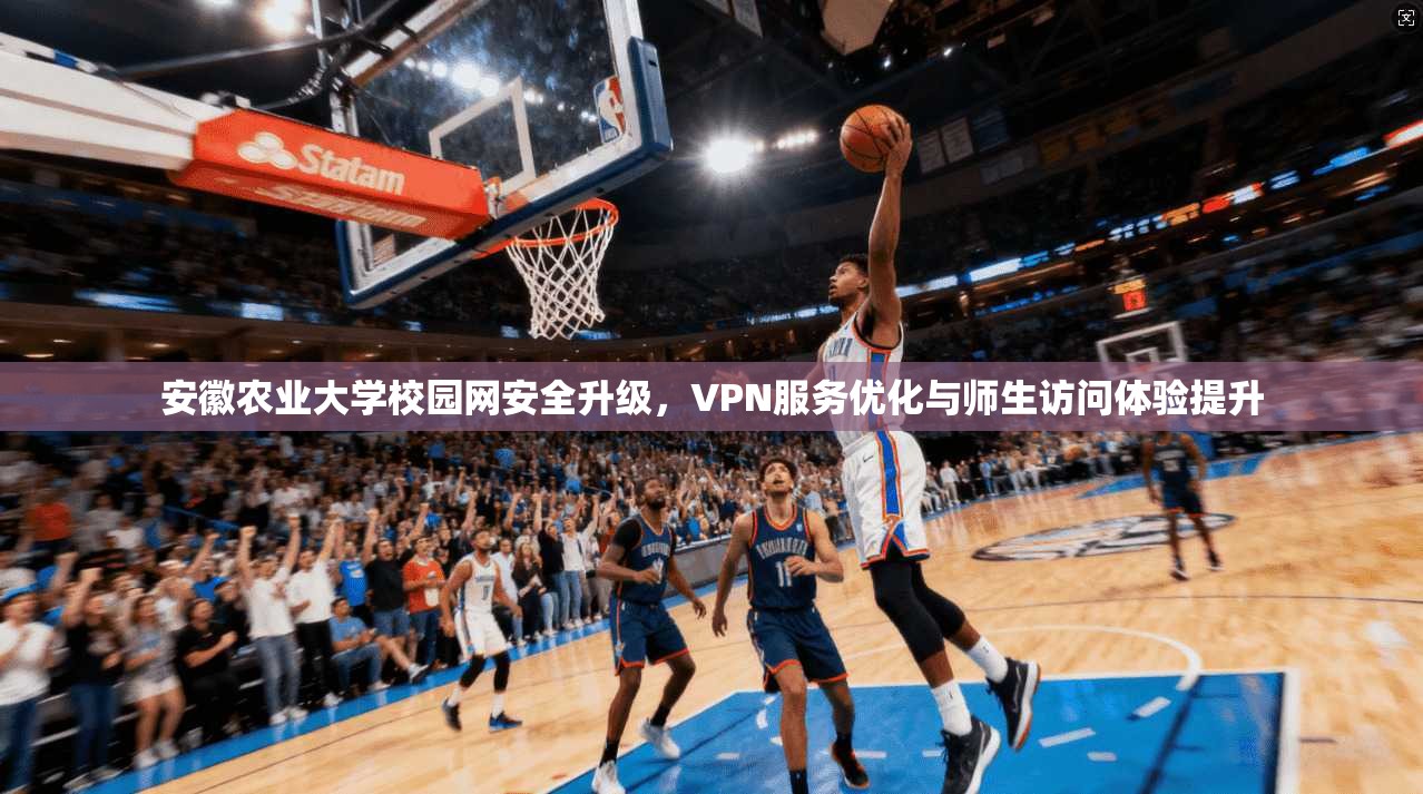 安徽农业大学校园网安全升级，VPN服务优化与师生访问体验提升