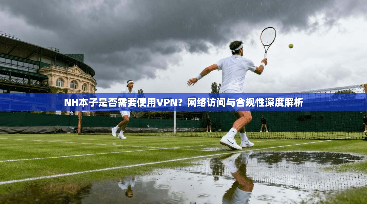 NH本子是否需要使用VPN？网络访问与合规性深度解析