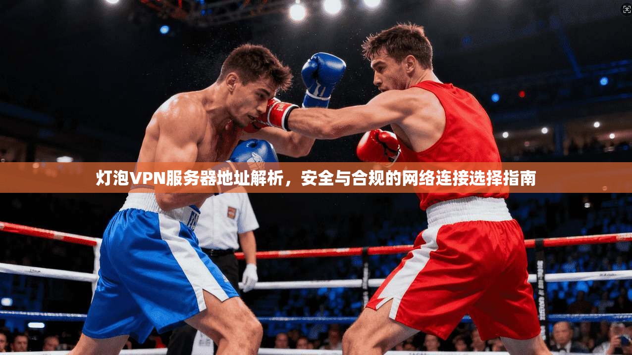 灯泡VPN服务器地址解析，安全与合规的网络连接选择指南
