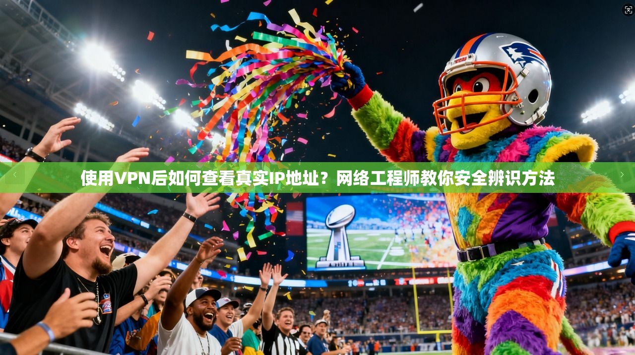 使用VPN后如何查看真实IP地址？网络工程师教你安全辨识方法