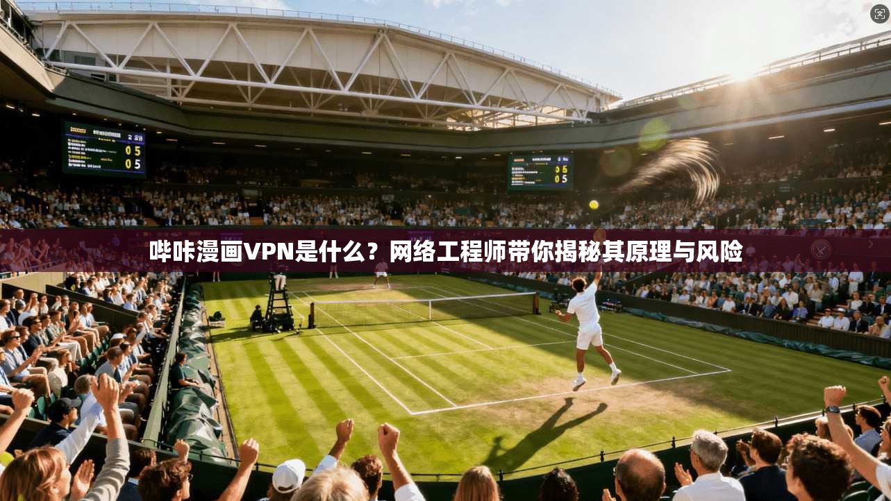 哔咔漫画VPN是什么？网络工程师带你揭秘其原理与风险