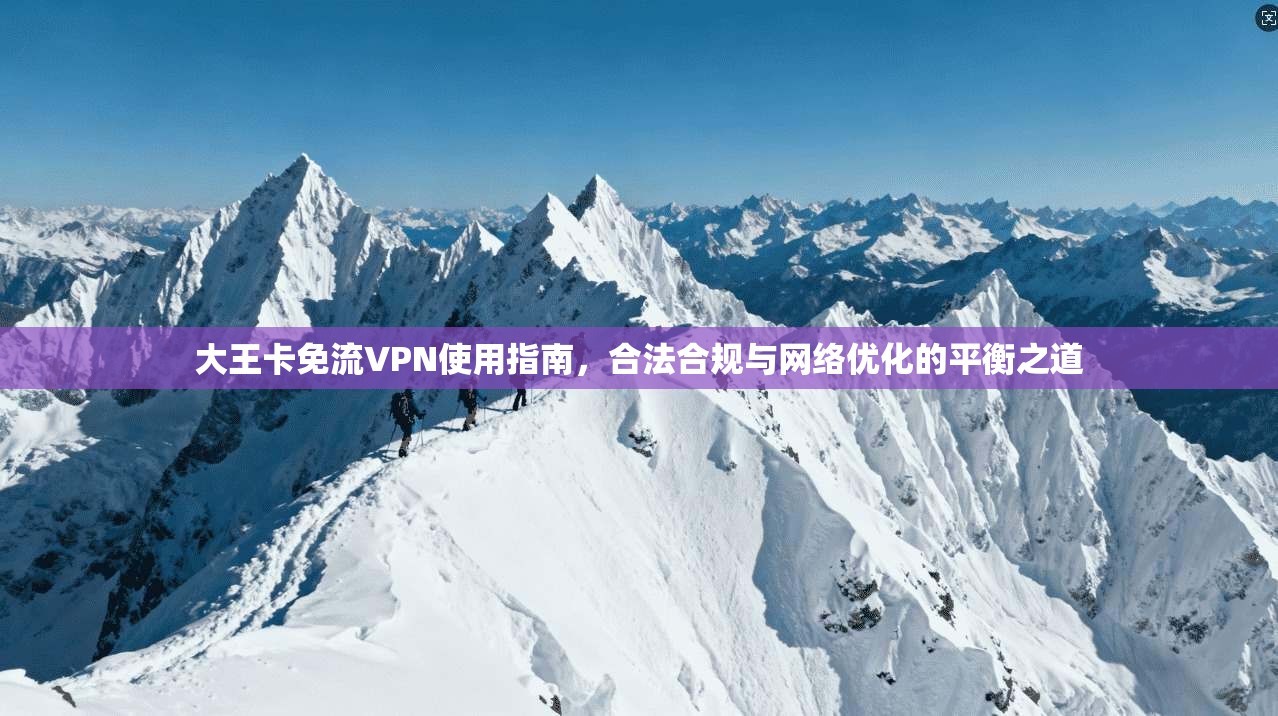 大王卡免流VPN使用指南，合法合规与网络优化的平衡之道
