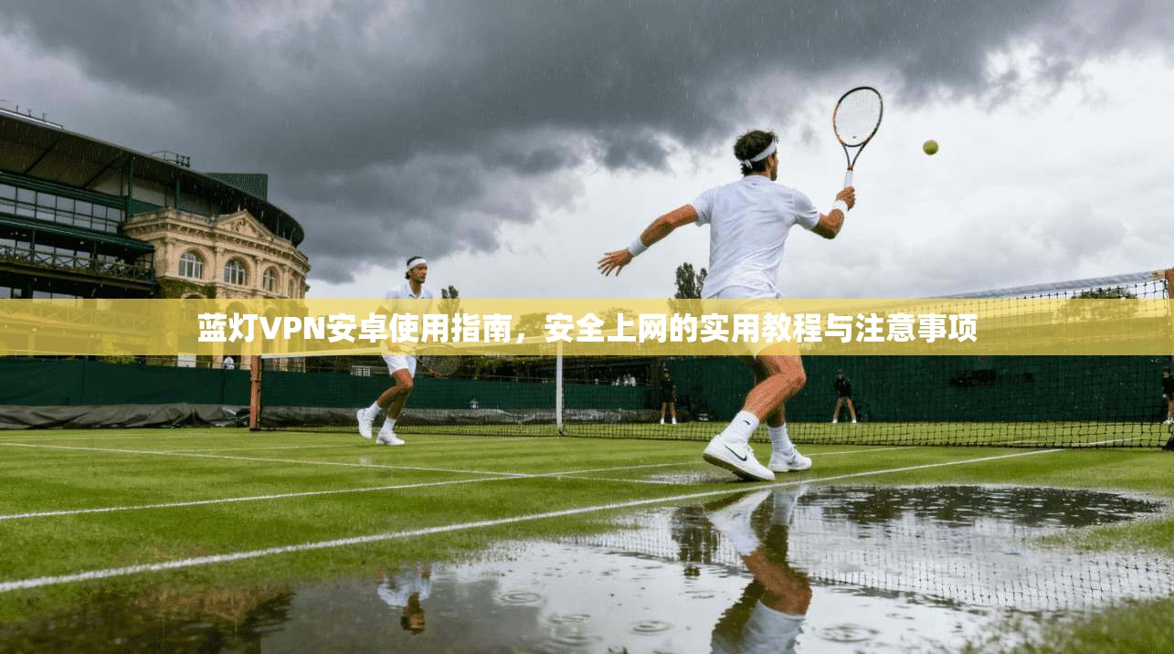 蓝灯VPN安卓使用指南，安全上网的实用教程与注意事项