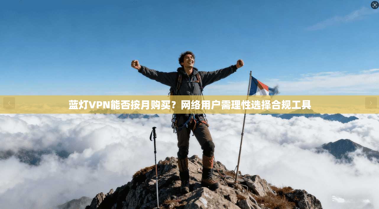 蓝灯VPN能否按月购买？网络用户需理性选择合规工具