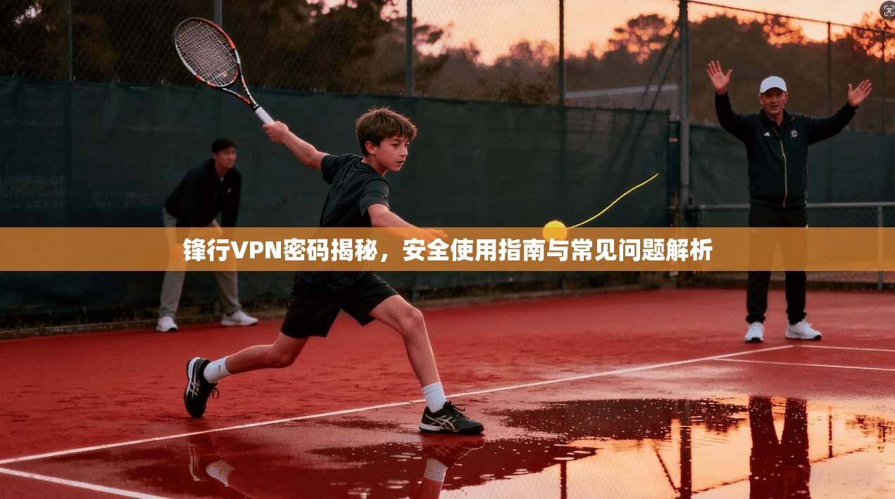 锋行VPN密码揭秘，安全使用指南与常见问题解析