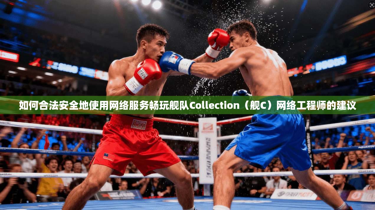 如何合法安全地使用网络服务畅玩舰队Collection（舰C）网络工程师的建议