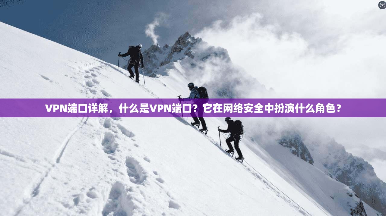 VPN端口详解，什么是VPN端口？它在网络安全中扮演什么角色？