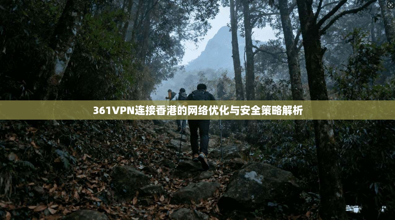 361VPN连接香港的网络优化与安全策略解析