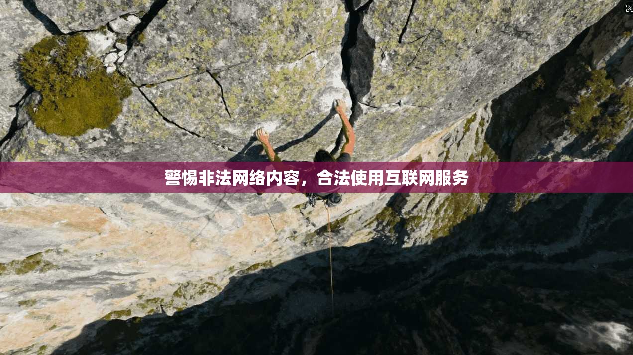 警惕非法网络内容，合法使用互联网服务