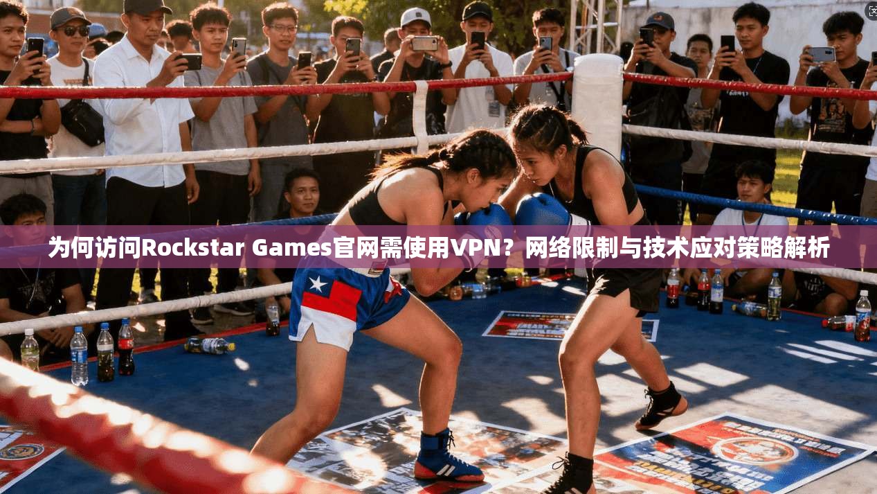 为何访问Rockstar Games官网需使用VPN？网络限制与技术应对策略解析