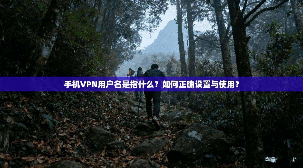 手机VPN用户名是指什么？如何正确设置与使用？