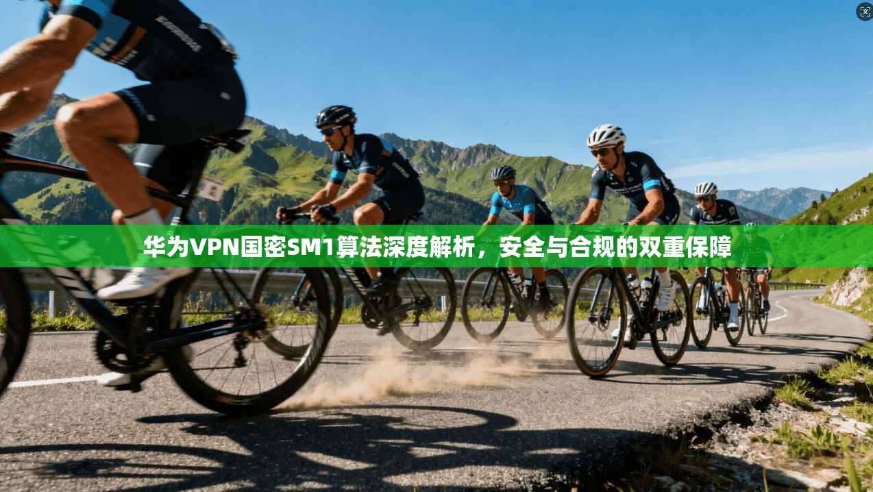 华为VPN国密SM1算法深度解析，安全与合规的双重保障