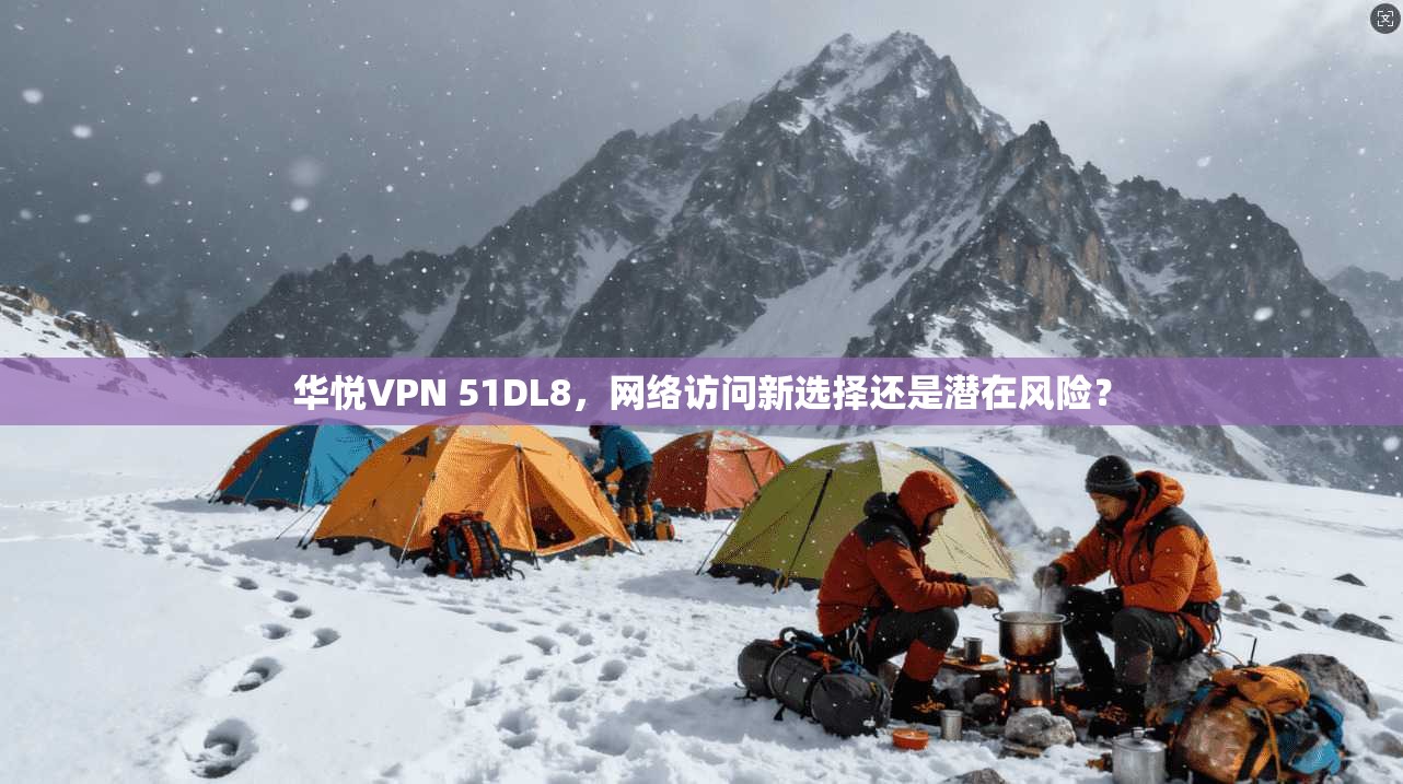 华悦VPN 51DL8，网络访问新选择还是潜在风险？