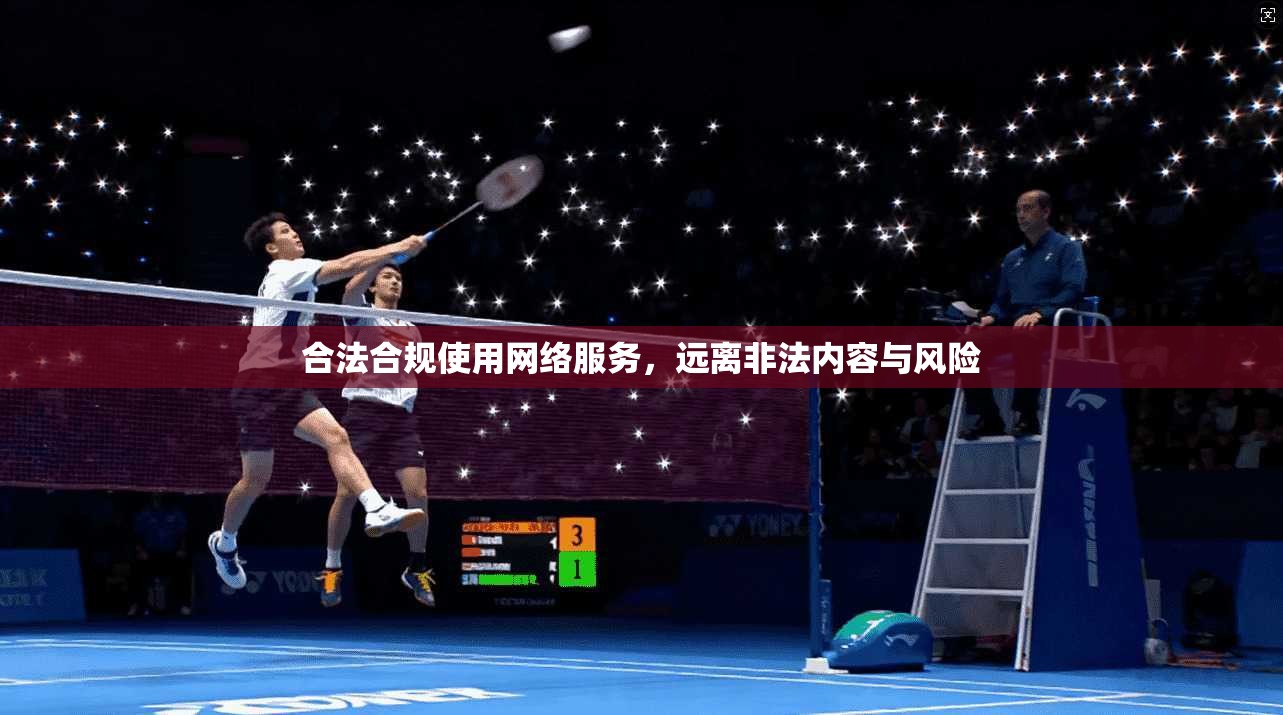 合法合规使用网络服务，远离非法内容与风险