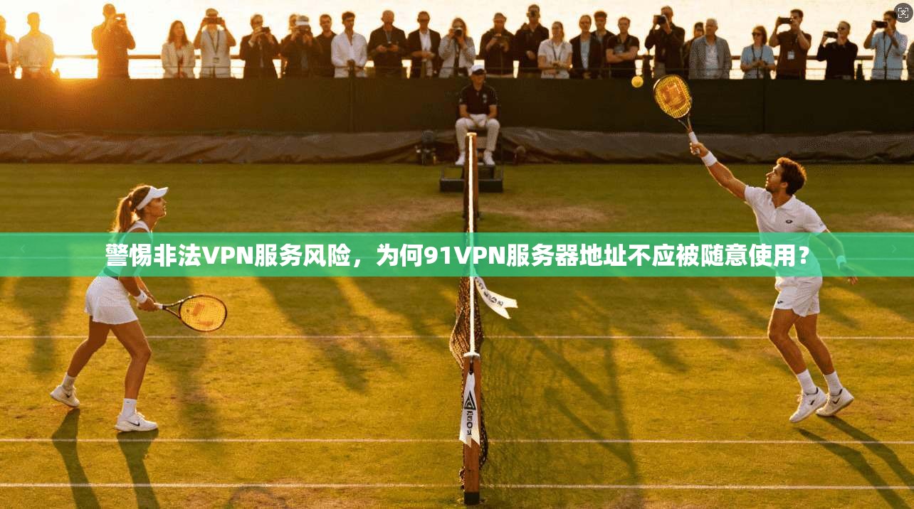 警惕非法VPN服务风险，为何91VPN服务器地址不应被随意使用？