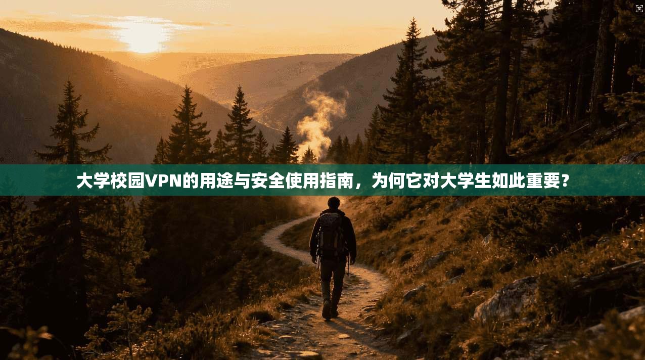 大学校园VPN的用途与安全使用指南，为何它对大学生如此重要？