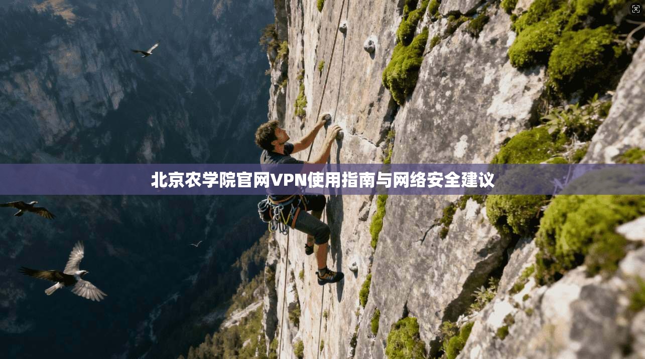 北京农学院官网VPN使用指南与网络安全建议 北京农学院官网VPN使用指南与网络安全建议