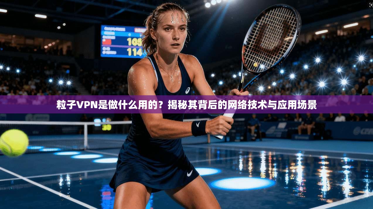 粒子VPN是做什么用的？揭秘其背后的网络技术与应用场景