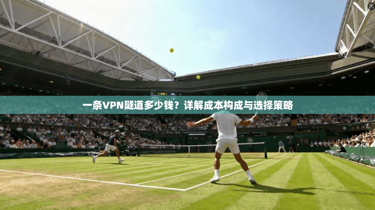 一条VPN隧道多少钱？详解成本构成与选择策略