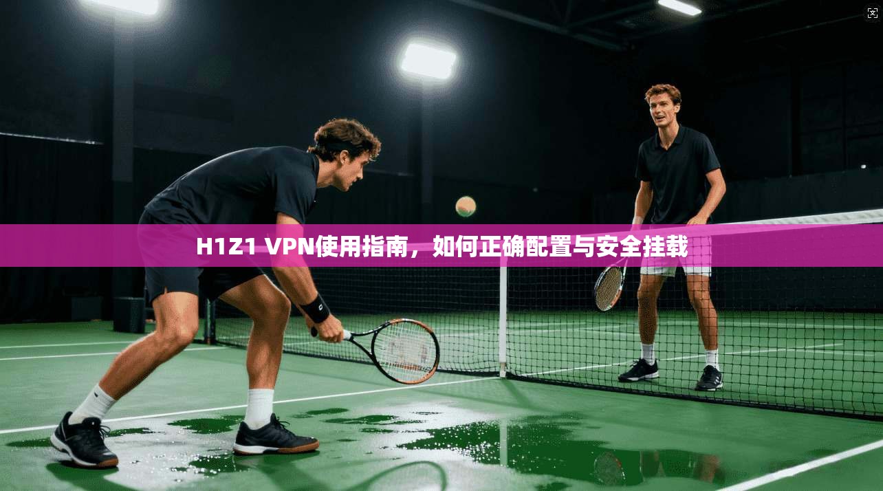 H1Z1 VPN使用指南，如何正确配置与安全挂载