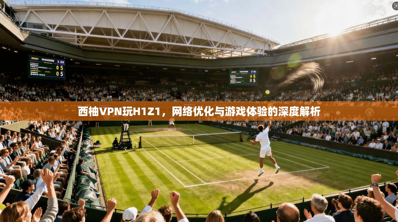 西柚VPN玩H1Z1，网络优化与游戏体验的深度解析