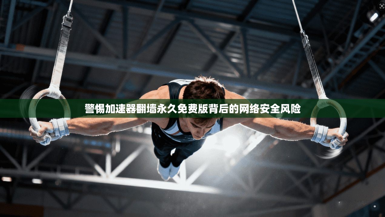 警惕加速器翻墙永久免费版背后的网络安全风险