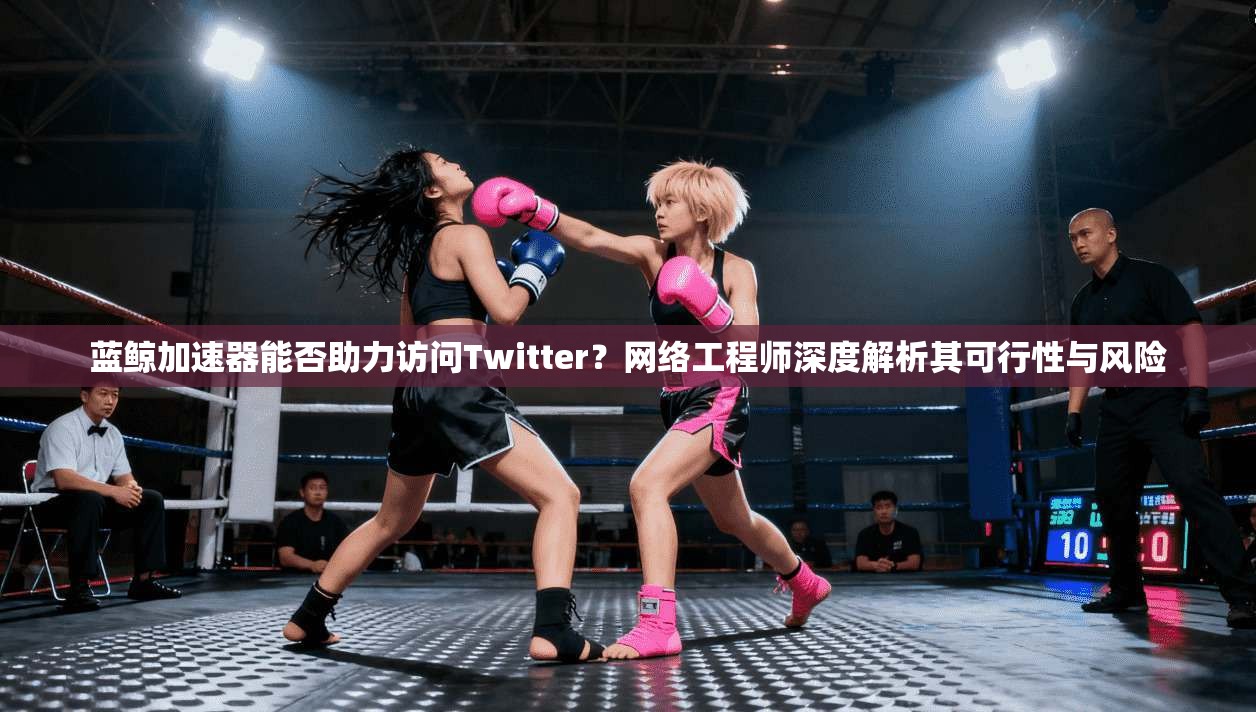 蓝鲸加速器能否助力访问Twitter？网络工程师深度解析其可行性与风险