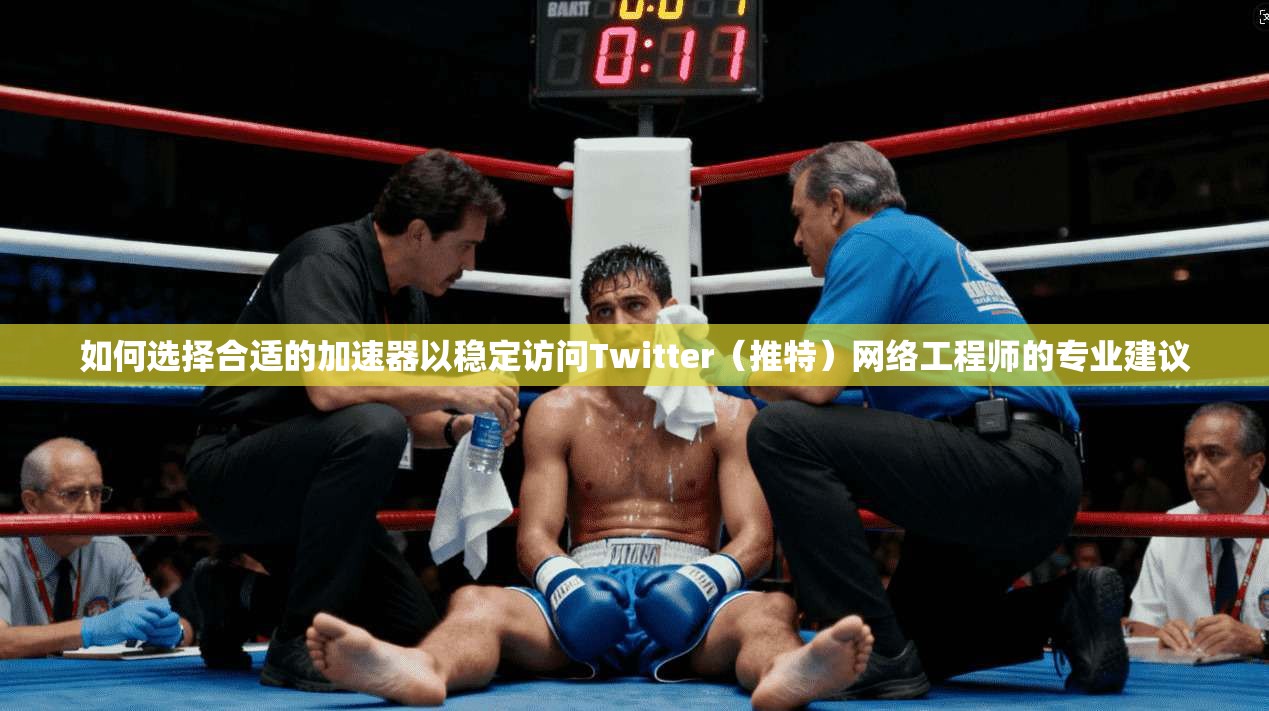 如何选择合适的加速器以稳定访问Twitter（推特）网络工程师的专业建议