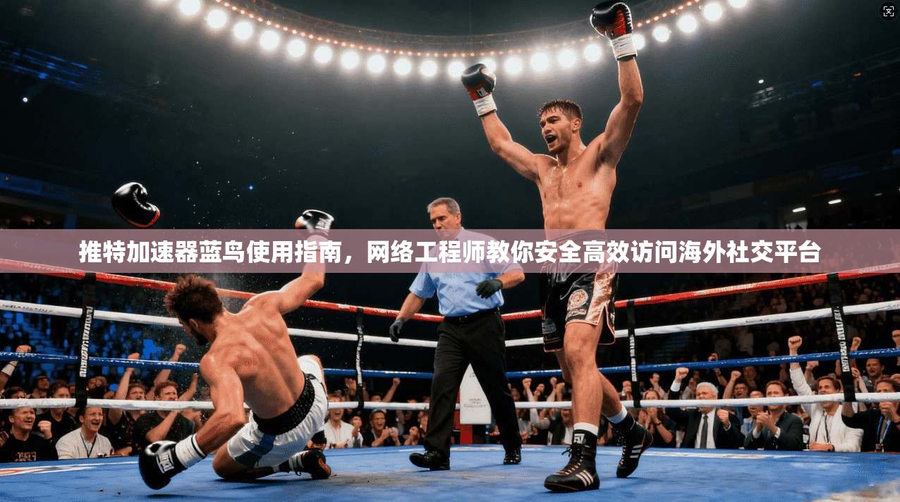 推特加速器蓝鸟使用指南，网络工程师教你安全高效访问海外社交平台