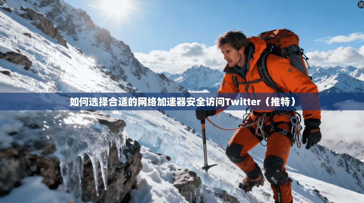 如何选择合适的网络加速器安全访问Twitter（推特）