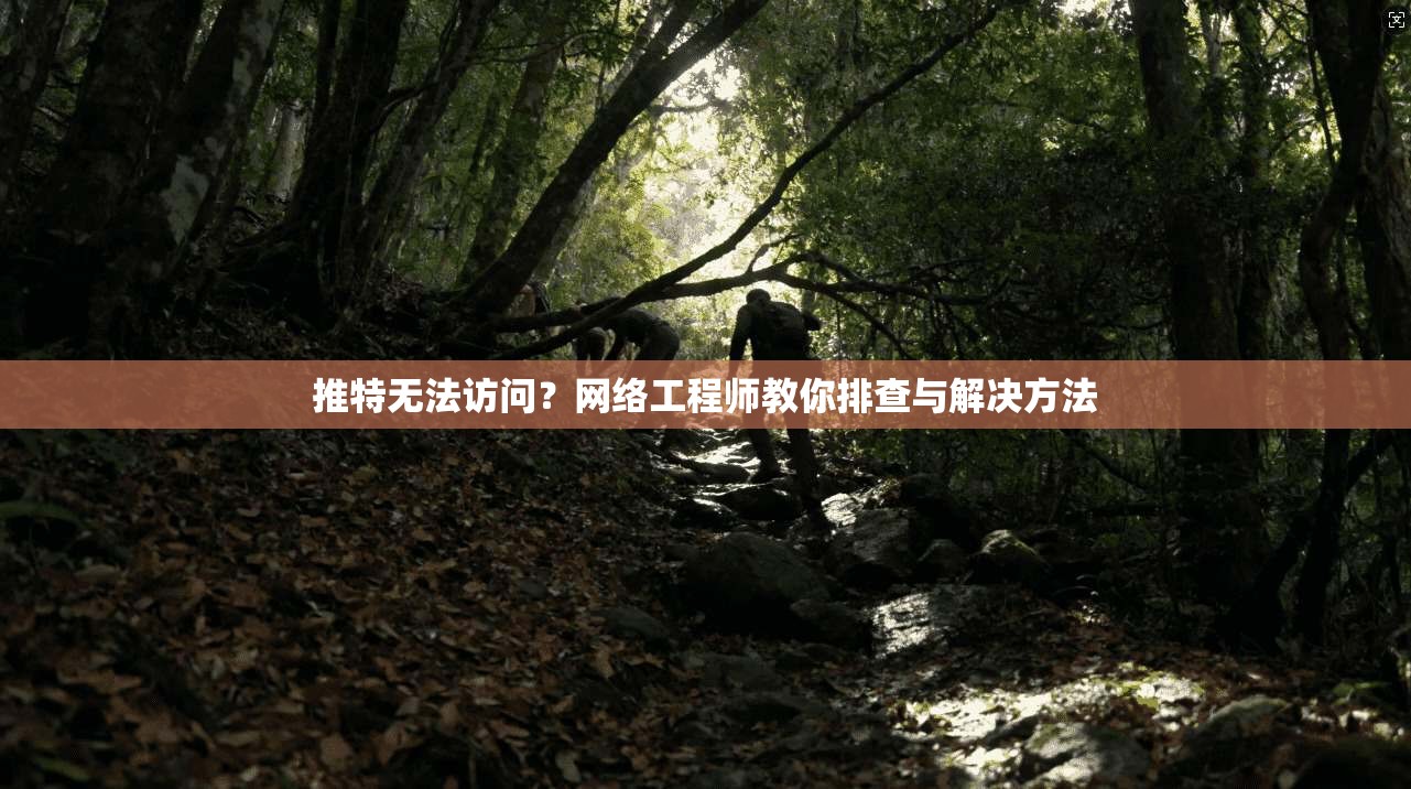推特无法访问?网络工程师教你排查与解决方法 推特无法访问?网络工程师教你排查与解决方法