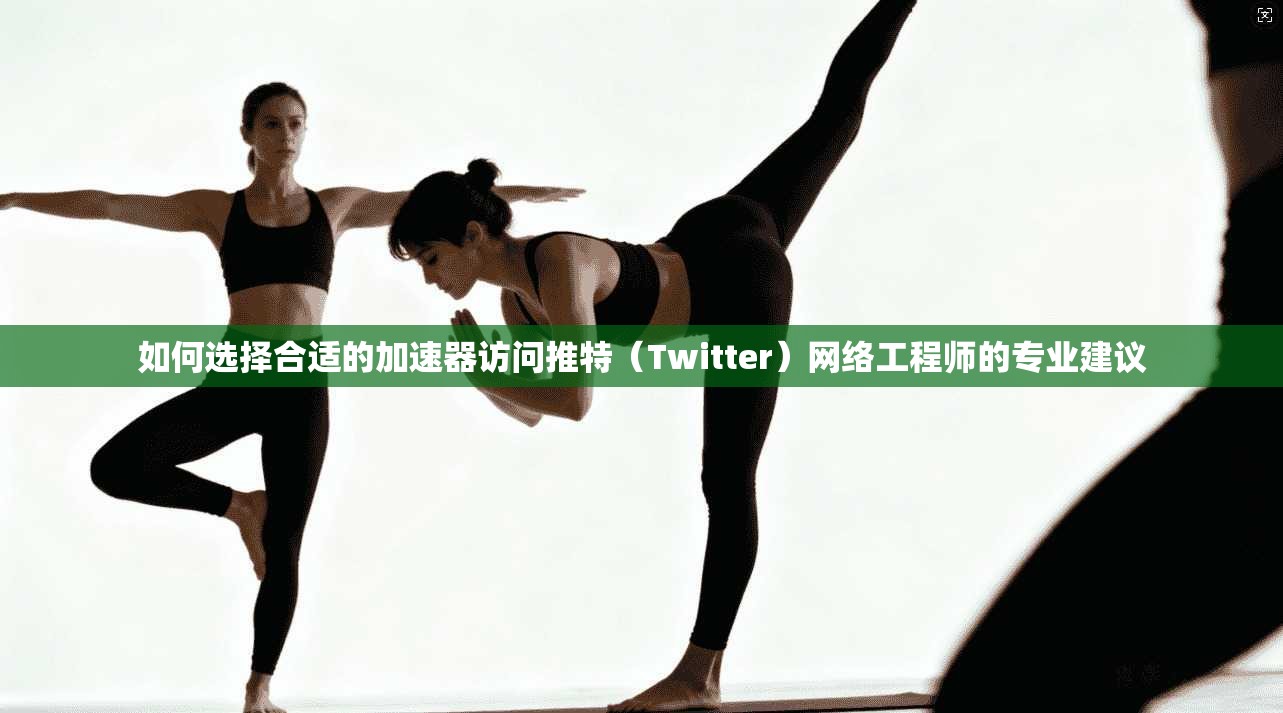 如何选择合适的加速器访问推特（Twitter）网络工程师的专业建议