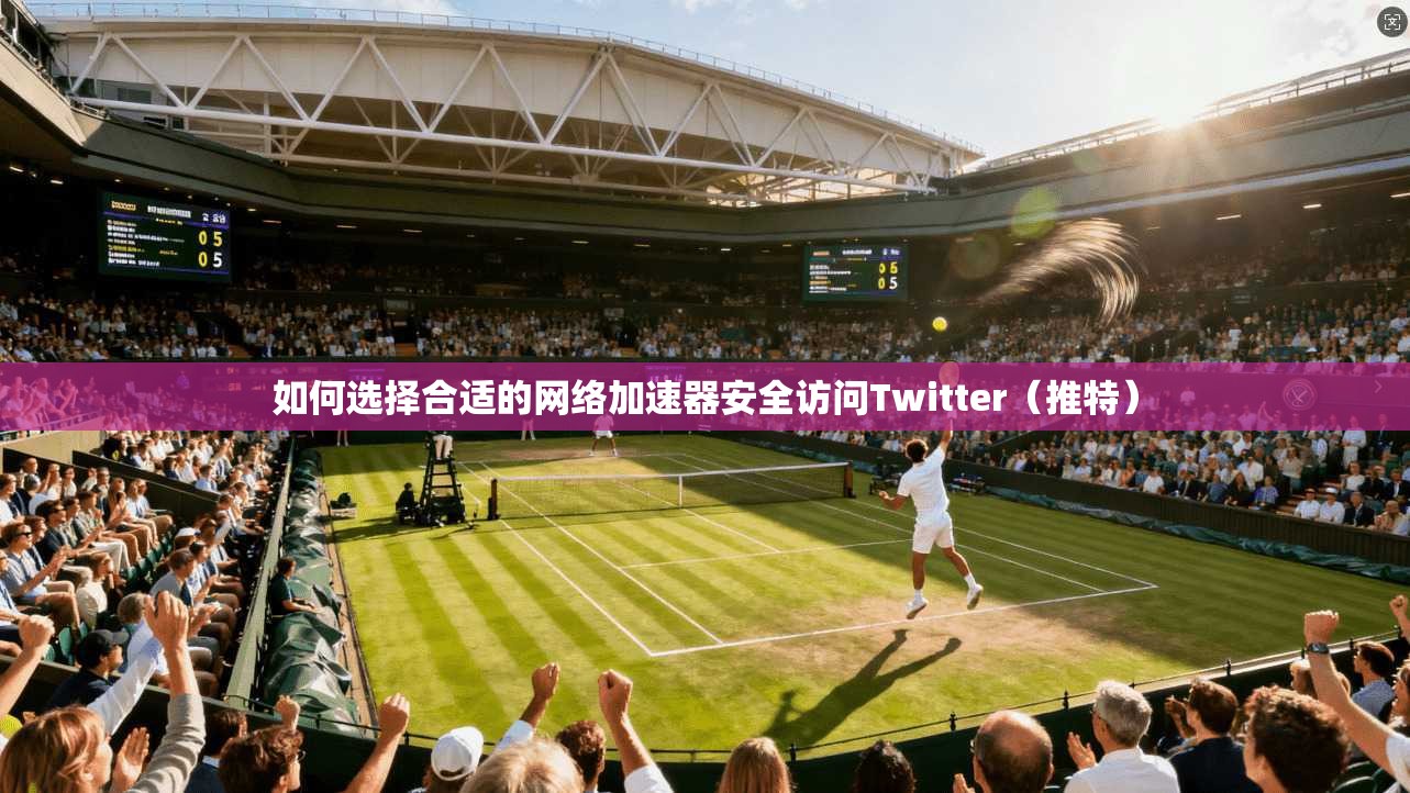 如何选择合适的网络加速器安全访问Twitter（推特）
