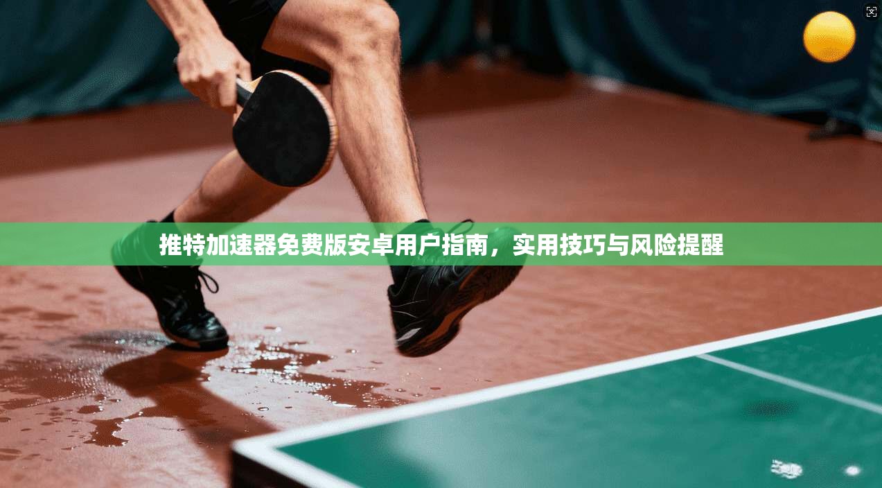 推特加速器免费版安卓用户指南，实用技巧与风险提醒