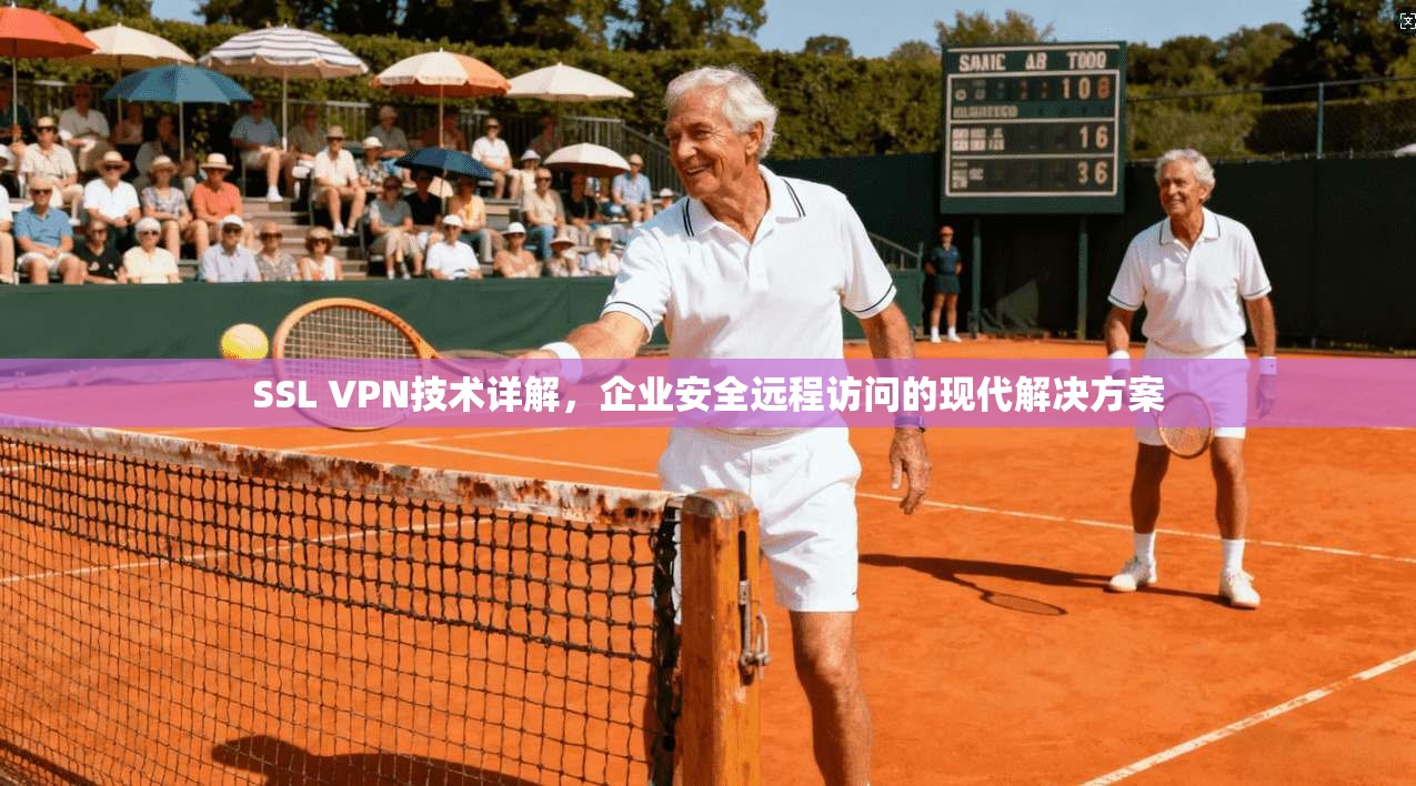 SSL VPN技术详解，企业安全远程访问的现代解决方案